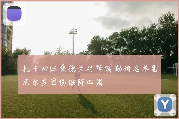 扎卡回归桑德兰对阵富勒姆名单雷尼尔多因伤缺阵四周