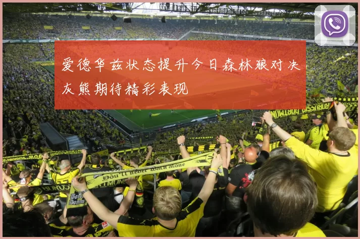 爱德华兹状态提升今日森林狼对决灰熊期待精彩表现